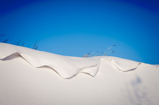 雪原 映像