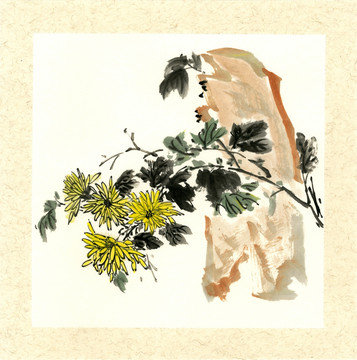 國畫菊花