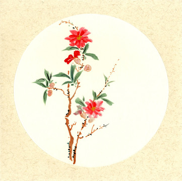 國畫山茶花