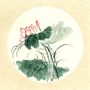 國(guó)畫荷花 紅色荷花