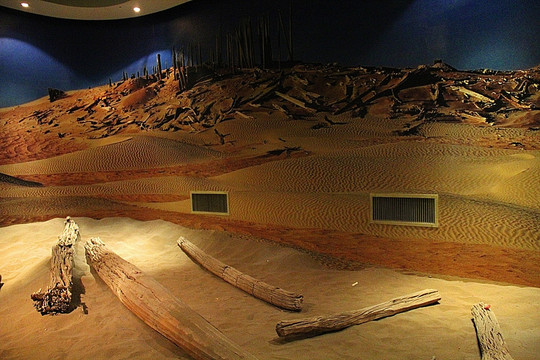 新疆自治区博物馆 戈壁考古
