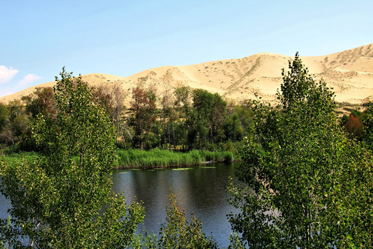 新疆 西北 白沙湖
