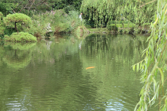 公园湖边风景