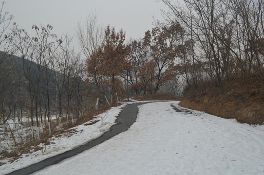 雪景