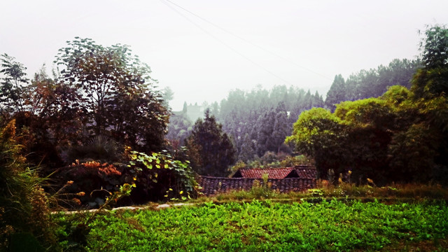 乡村瓦房屋顶