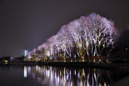 玄武湖夜景