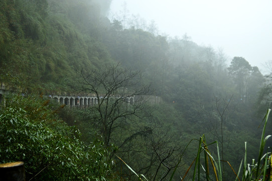 峨眉山 雾气