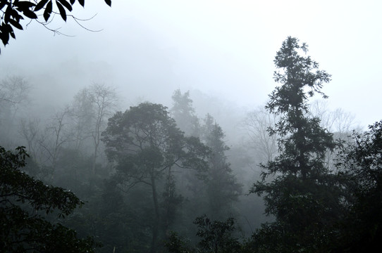 峨眉山 水雾