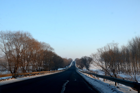 东北雪景公路