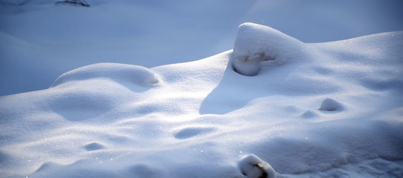 雪景