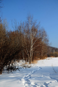 雪景