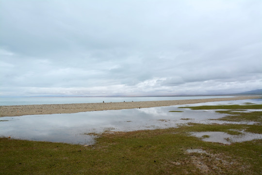 青海沼泽