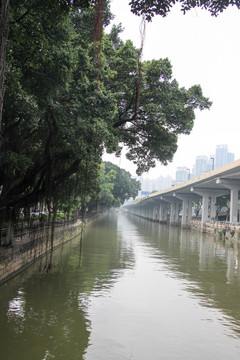 沙面风景