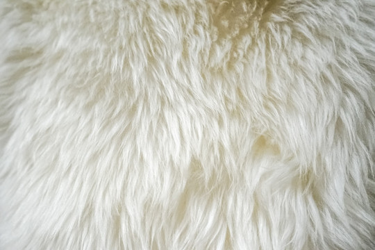 羊毛毯纹理 羊毛垫