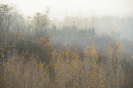 小山小景