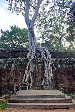 吴哥窟 塔普伦寺