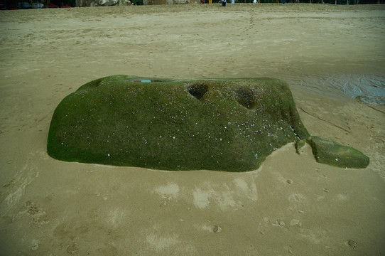 海边沙滩礁石