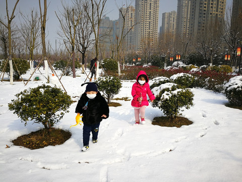 美丽的雪景