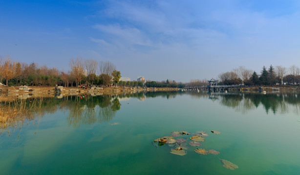 白龟湖湿地公园