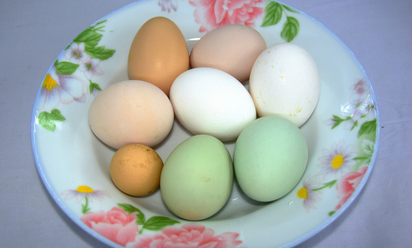 多种颜色的鸡蛋特写图