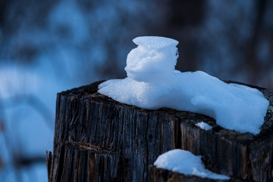 冬雪