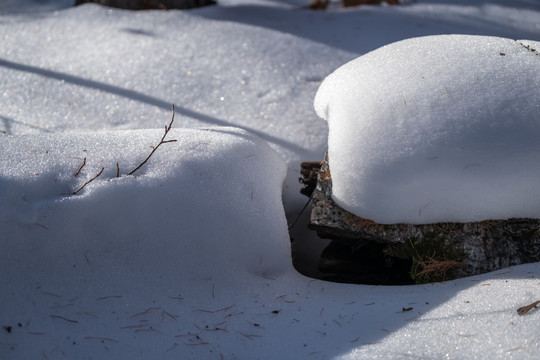 冬雪