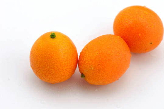 金桔 金柑 小橘子