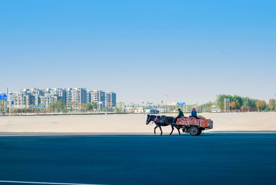 公路上的马车