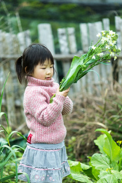 亲子游 深山 菜园 菜地 摘菜 农家乐