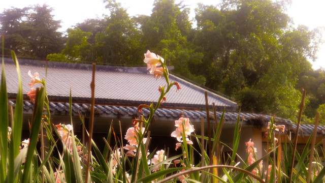 柳州开元寺景区