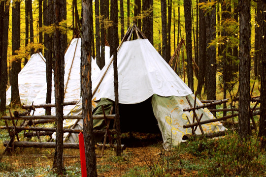 森林中的帐篷