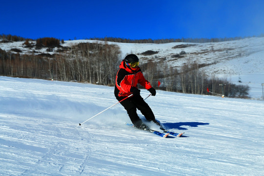 运动员滑雪