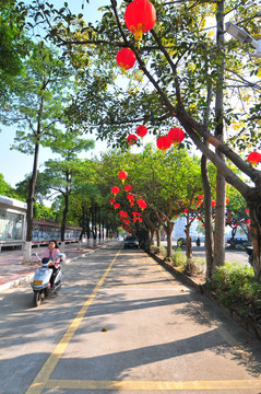 大红灯彩 节日气氛 新春景象