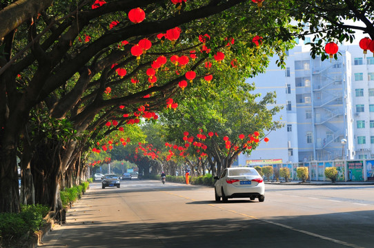 大红灯彩 节日气氛 新春景象