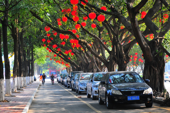 大红灯彩 节日气氛 新春景象