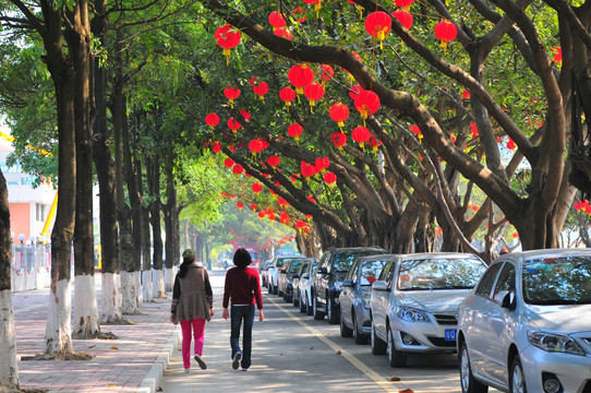 大红灯彩 节日气氛 新春景象