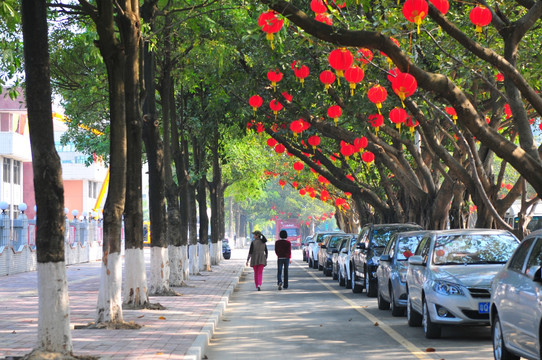 大红灯彩 节日气氛 新春景象