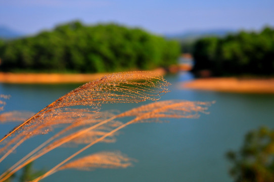 蓝天白云 阳江旅游 东湖星岛