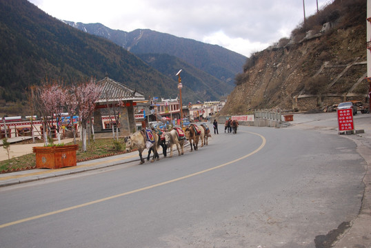 山区道路