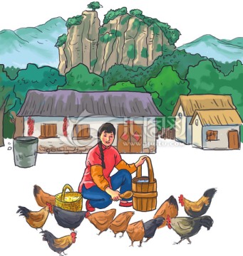 喂草雞