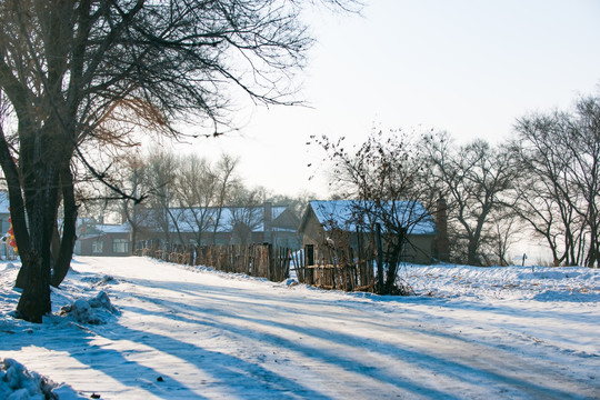 东北农村 雪景 屯里