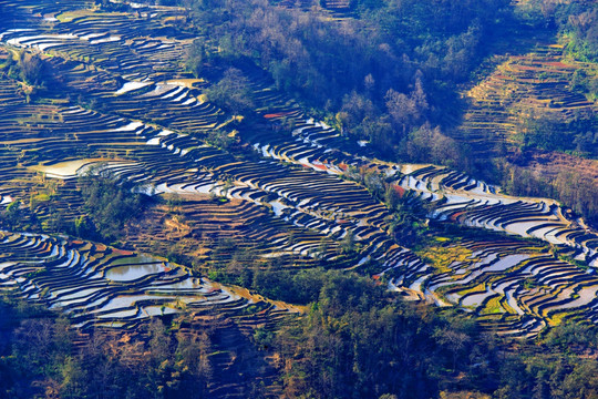 元阳梯田