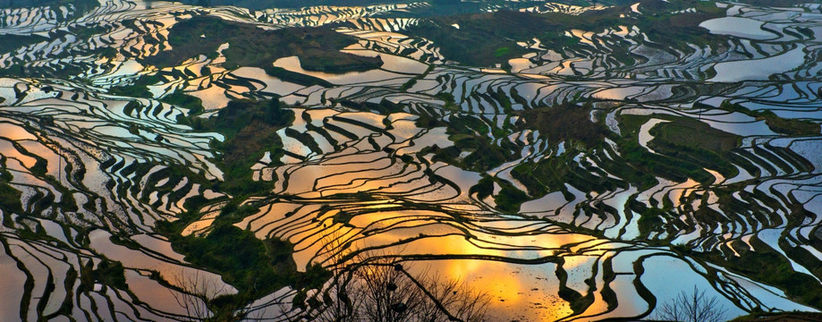 元阳梯田