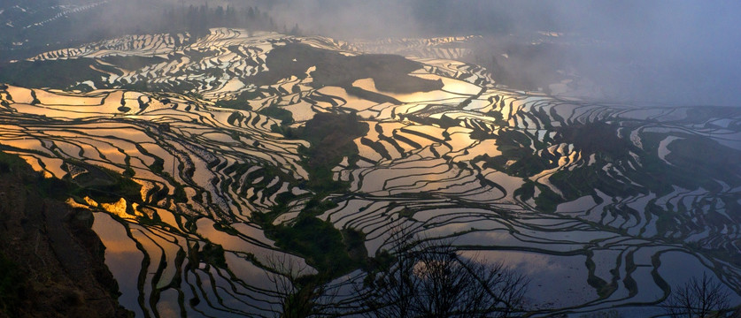 元阳梯田