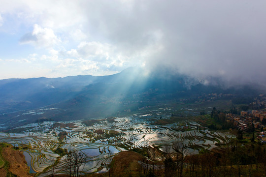 元阳梯田