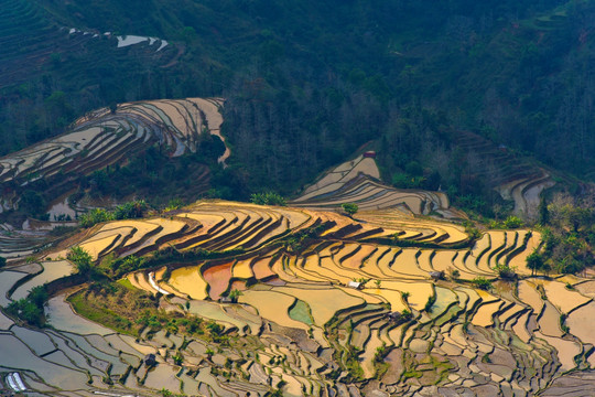 元阳梯田