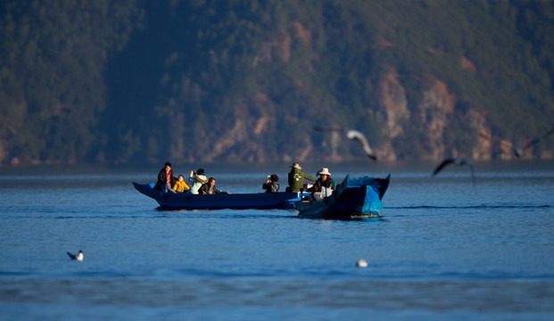 泸枯湖 人与鸟