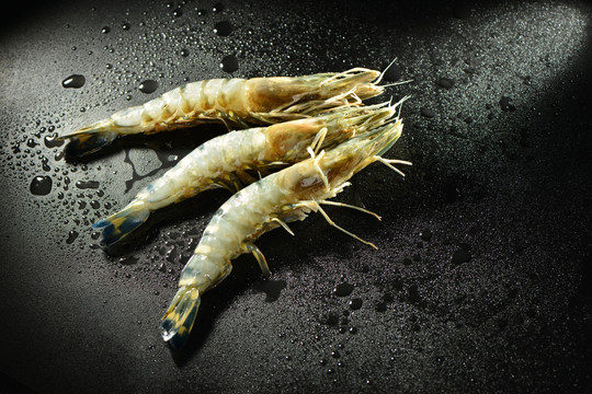 大竹节虾