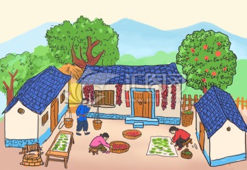 農(nóng)家院