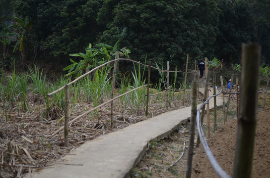 山村水泥路